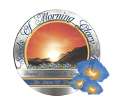 Seed of Morning Glory